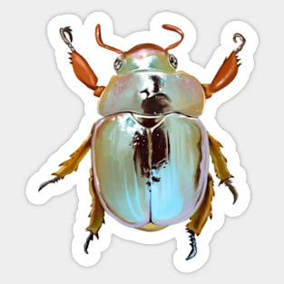 Rainbow Scarab Beetle Sticker